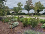 Kräutergarten klein.png