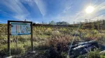 Bürgerwald im Sonnenschein